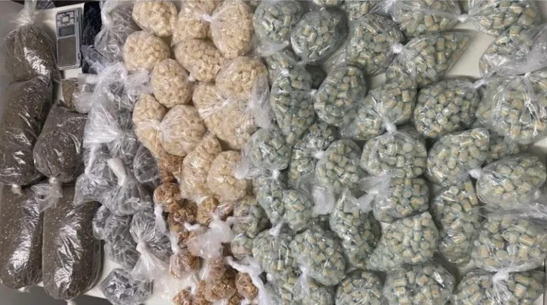 Ação conjunta da Polícia Militar apreende mais de 5.000 porções de entorpecentes em Alto de Coutos