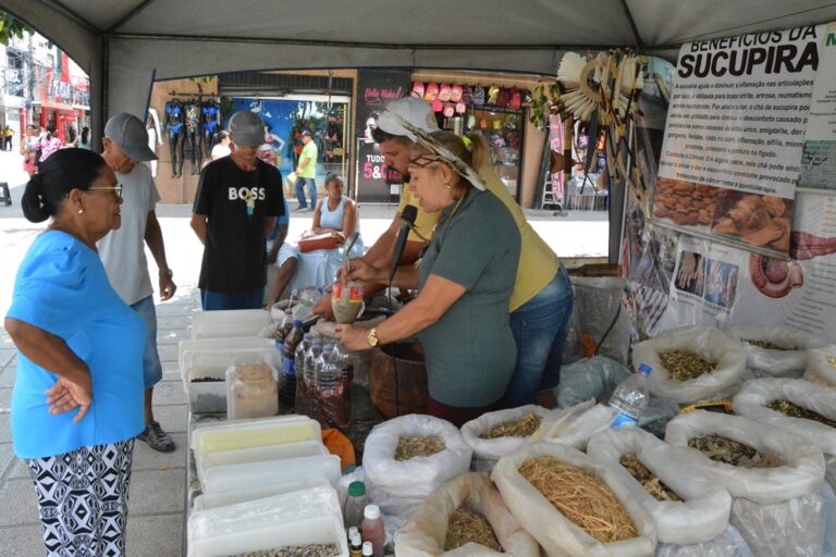 RAIZEIROS E CURANDEIROS AINDA EXISTEM E MOSTRAM CONHECIMENTOS