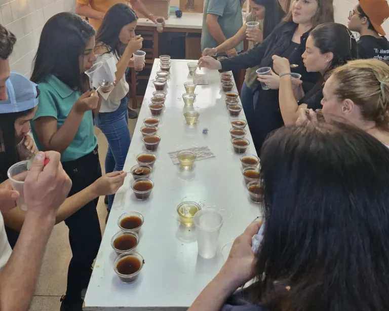 Uesb impulsiona setor cafeeiro com laboratório especializado no estudo de grãos de café