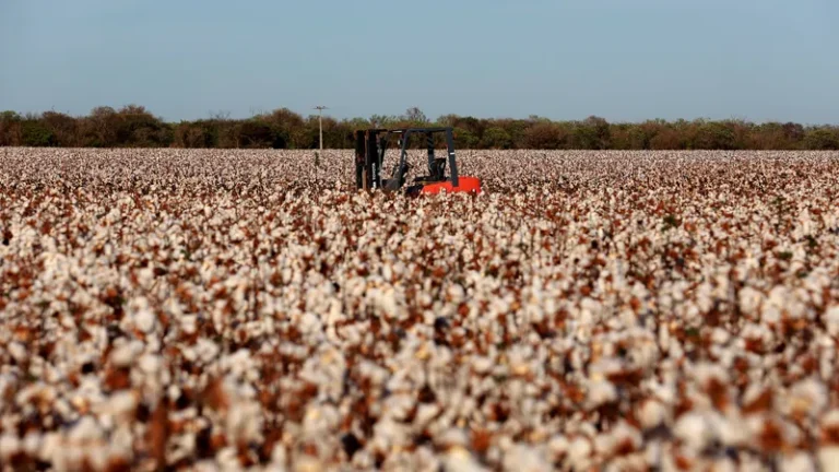 Boletim Agropecuário indica que setor impulsionou desempenho do PIB baiano no quarto trimestre de 2025