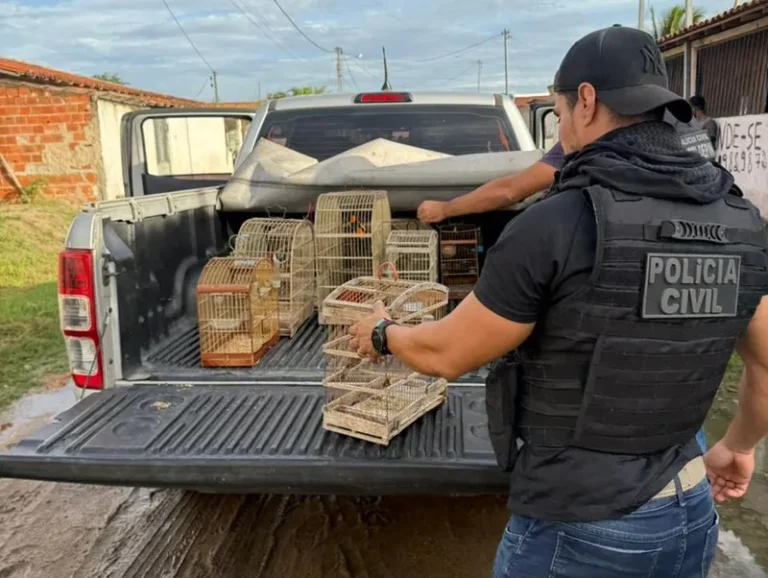 Polícia Civil resgata 15 aves silvestres vítimas de maus-tratos em Santa Bárbara