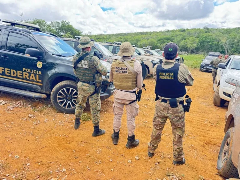 FICCO Bahia, PM e PF erradicam mais 125 mil pés de maconha e completam 4 roças desmontadas em uma semana