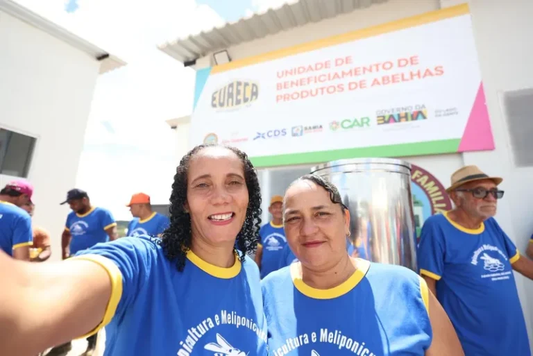 Unidade de Beneficiamento do Mel é entregue em São Gabriel e fortalece produção no território de Irecê