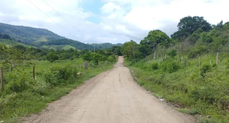 Governo da Bahia pavimentará mais de 125 km de rodovias estaduais