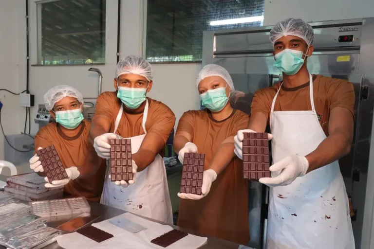 Chocolate artesanal de assentamento baiano amplia mercado e fortalece formação técnica de estudantes
