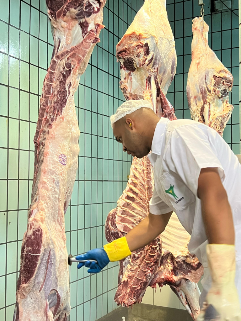 Arroba do boi mantém preço pela terceira semana seguida