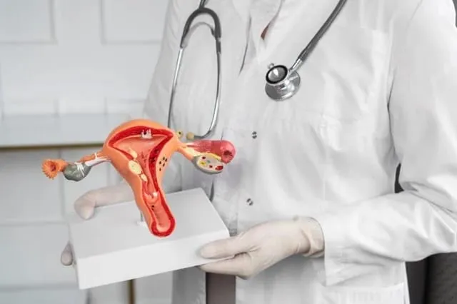 Município precisa dar maior atenção às mulheres que sofrem com endometriose