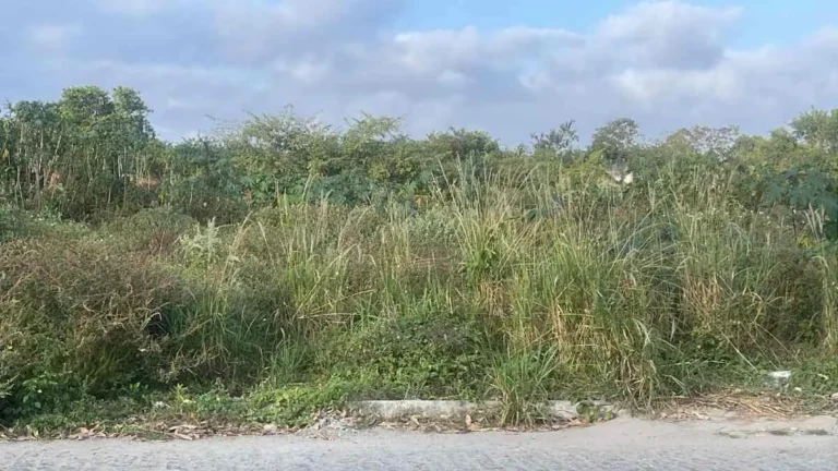 Uso social de terrenos abandonados é debatido na Câmara e ganha apoio de vereadores