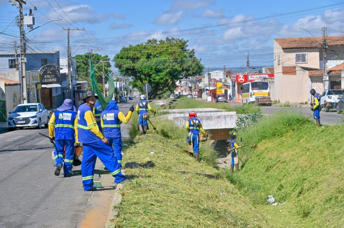 Sesep dá continuidade a serviços de limpeza com mutirões e poda de árvores