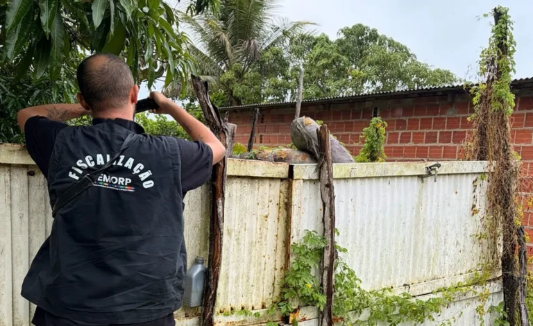 Combate à dengue: Prefeitura de Alagoinhas já notificou donos de 365 imóveis abandonados