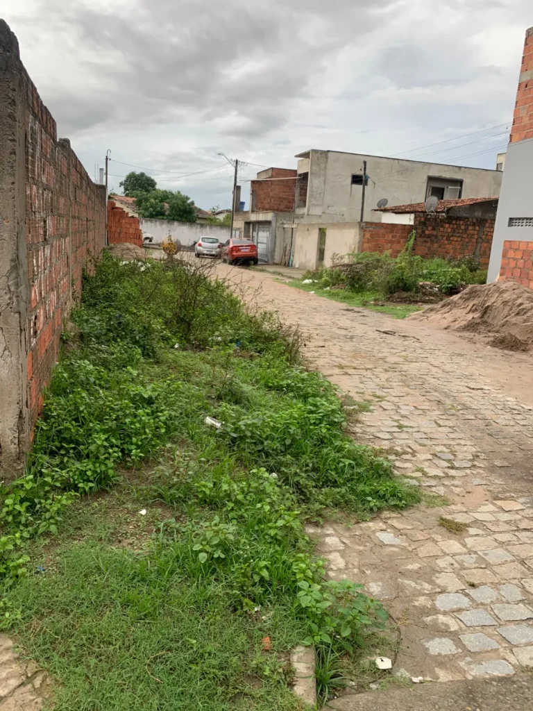 Ismael Bastos cobra drenagem e recapeamento asfáltico para vias dos bairros Sítio Novo e Pampalona