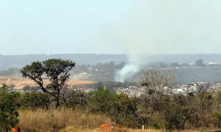 MMA lança edital para arborizar periferia urbana de pequenas cidades