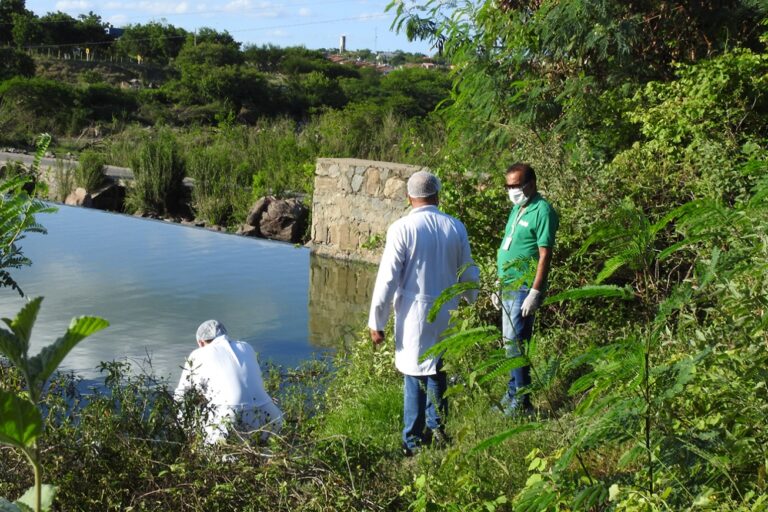 Análise não identifica causa da mortandade de peixes na Barragem de Jaguara