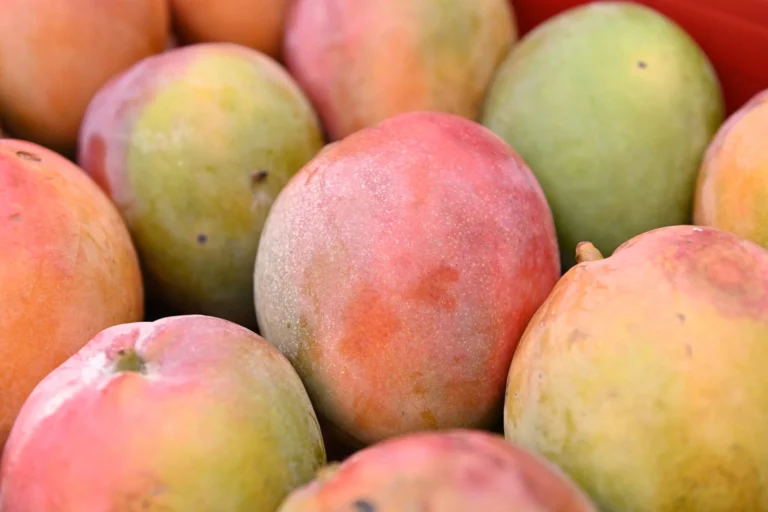 Os preços de hortifrutigranjeiros no Mercado do Produtor de Juazeiro nesta terça (12)