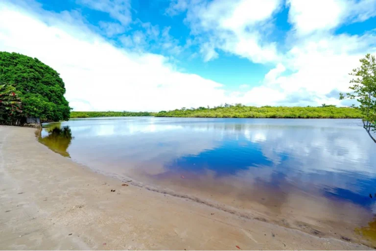 Camaçari inicia recuperação de manguezal em Barra do Jacuípe