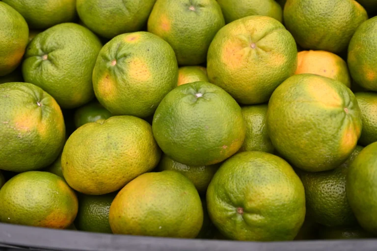 Prefeitura divulga preços atualizados de hortifrutigranjeiros no Mercado do Produtor de Juazeiro