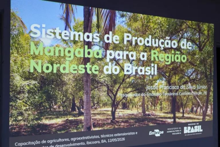 Seagri fortalece cadeia produtiva da mangaba em encontro com municípios da Chapada Diamantina