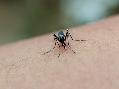 Alagoinhas tem 1.399 casos suspeitos de doenças transmitidas pelo Aedes aegypti em 2026