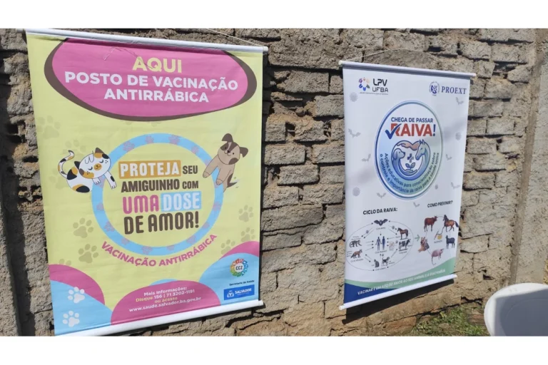 Salvador intensifica vacinação antirrábica no bairro de Nova Brasília