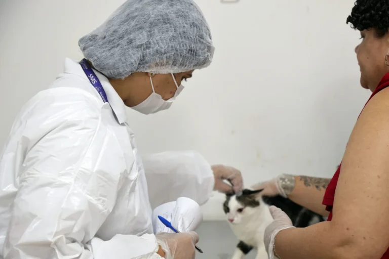 Público aprova atendimento para esporotricose em no Hospital Municipal Veterinário